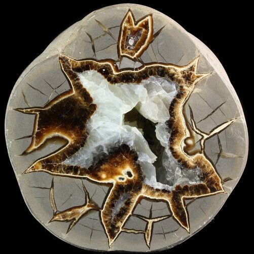 Beautiful Septarian Geode (Half) - Utah #45915